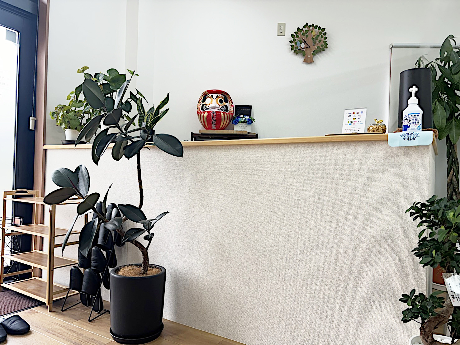 たいじゅ接骨院・受付